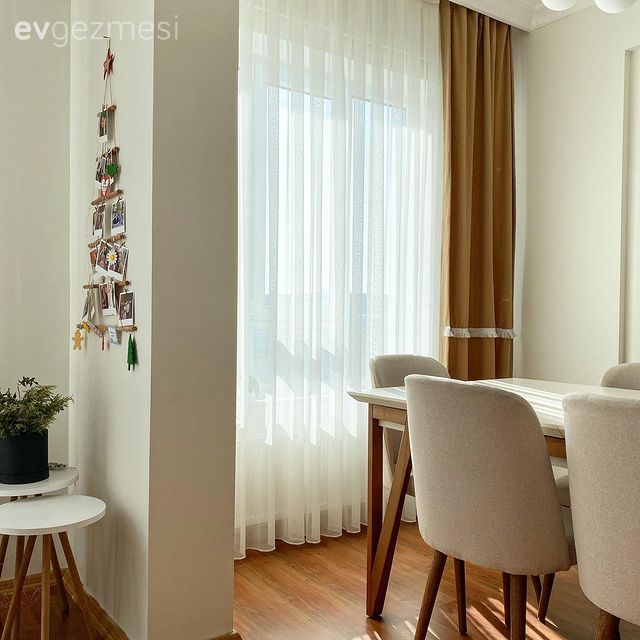 Hardal, Beyaz, Sandalye, Yemek masası