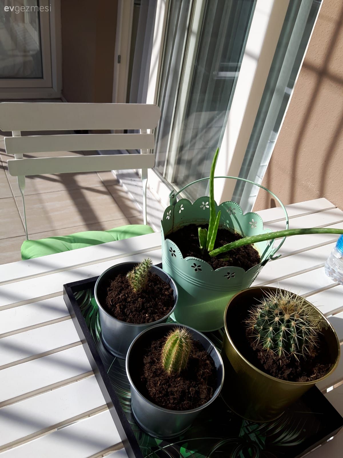 Bu Modern Esintili Dekora Kırmızı Çok Yakışıyor