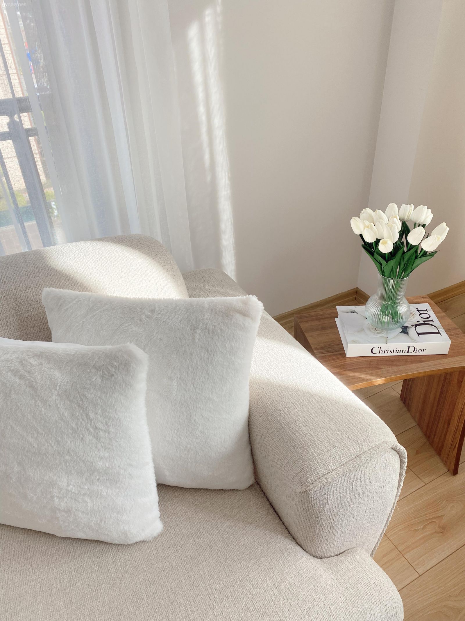 Tül perde, Perde, Koltuk takımı, Ev bitkisi, Ahşap Mobilya