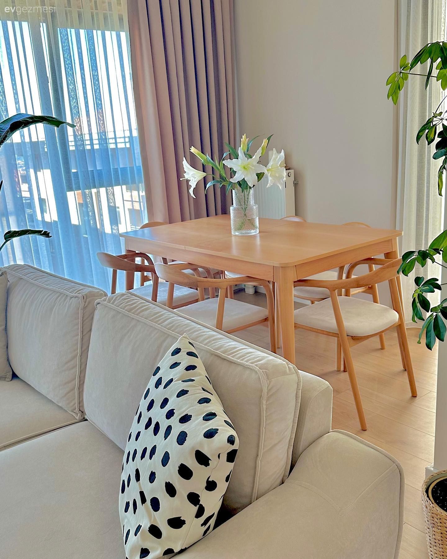 Salon Çiçekleri ile Evlerin Enerjisi Nasıl Yükseltilir?