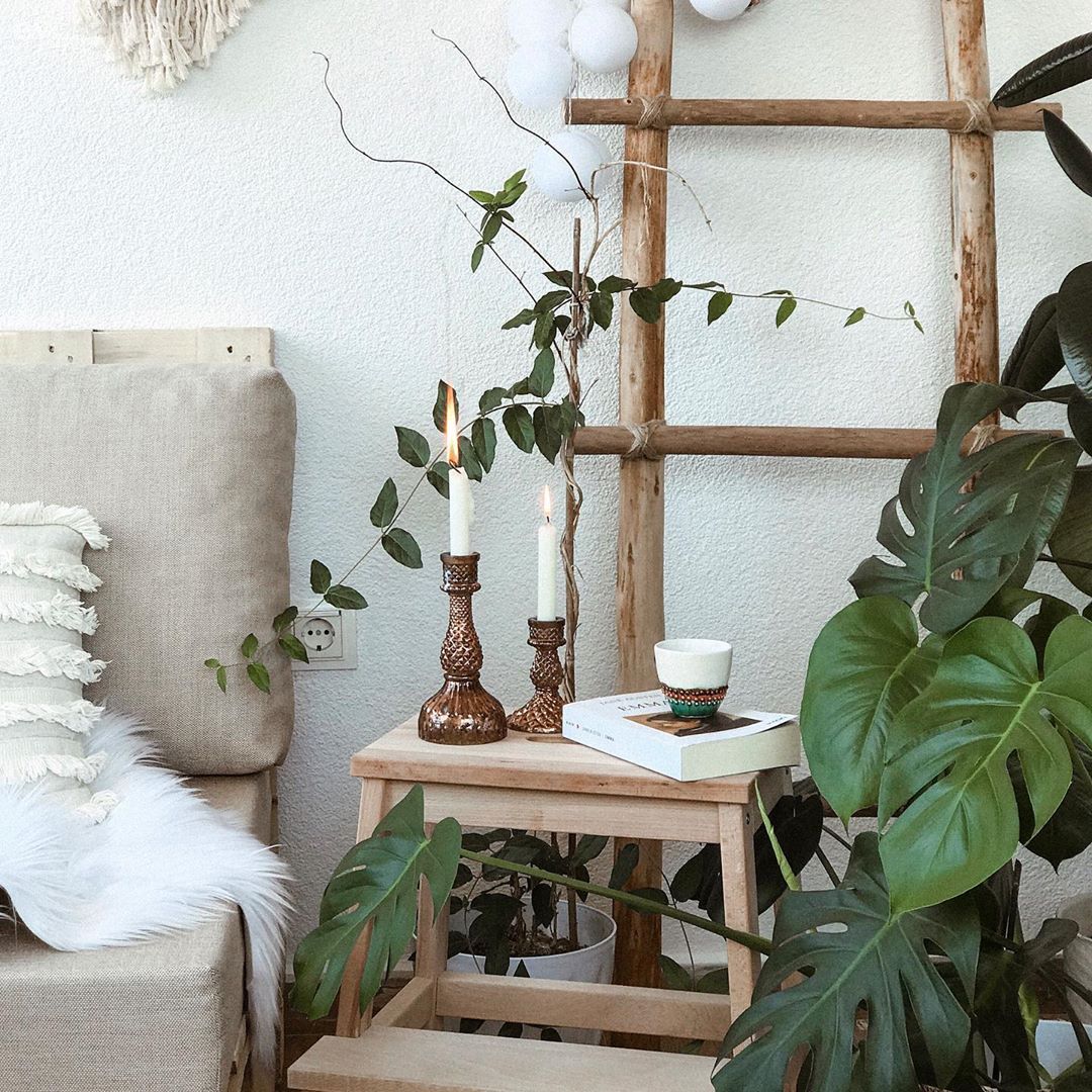 Bu Kayseri Evi İçindeki Bitkilerle Adeta Botanik Bahçesi