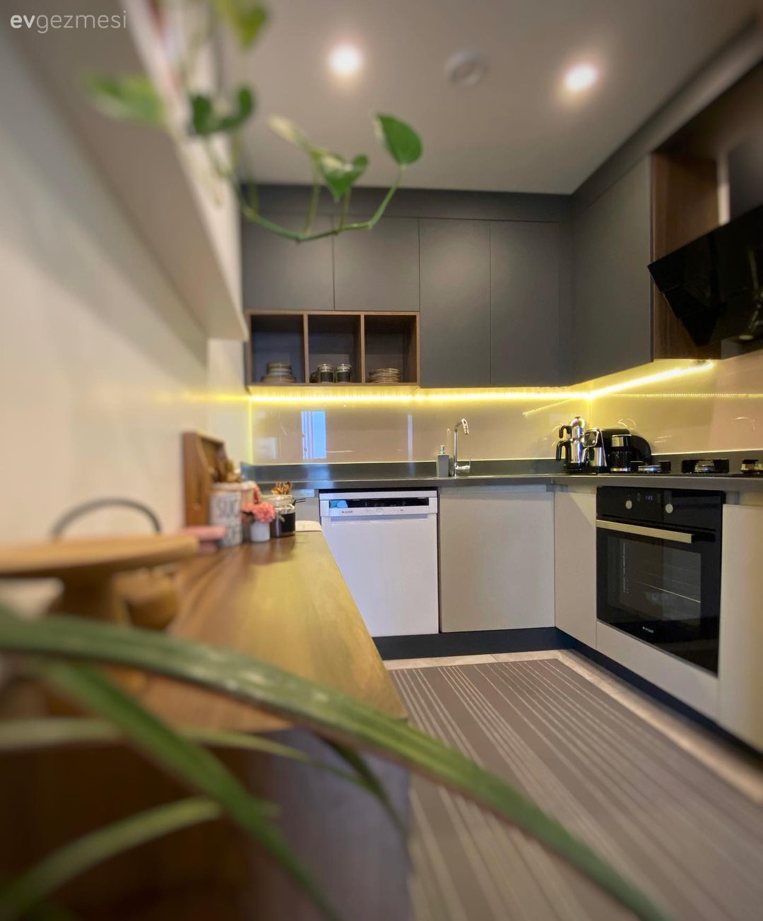 Mutfak, Ev bitkisi, Gri, Beyaz, Siyah, Krem, Bej, Mutfak tezgahı, Dolap, Ahşap Mobilya, Ankastre, Mutfak aksesuarları, Parke