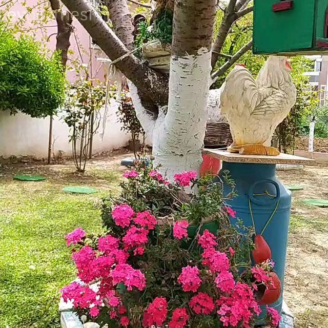 Bu Kocaeli Evi Adeta El Sanatları Müzesi!