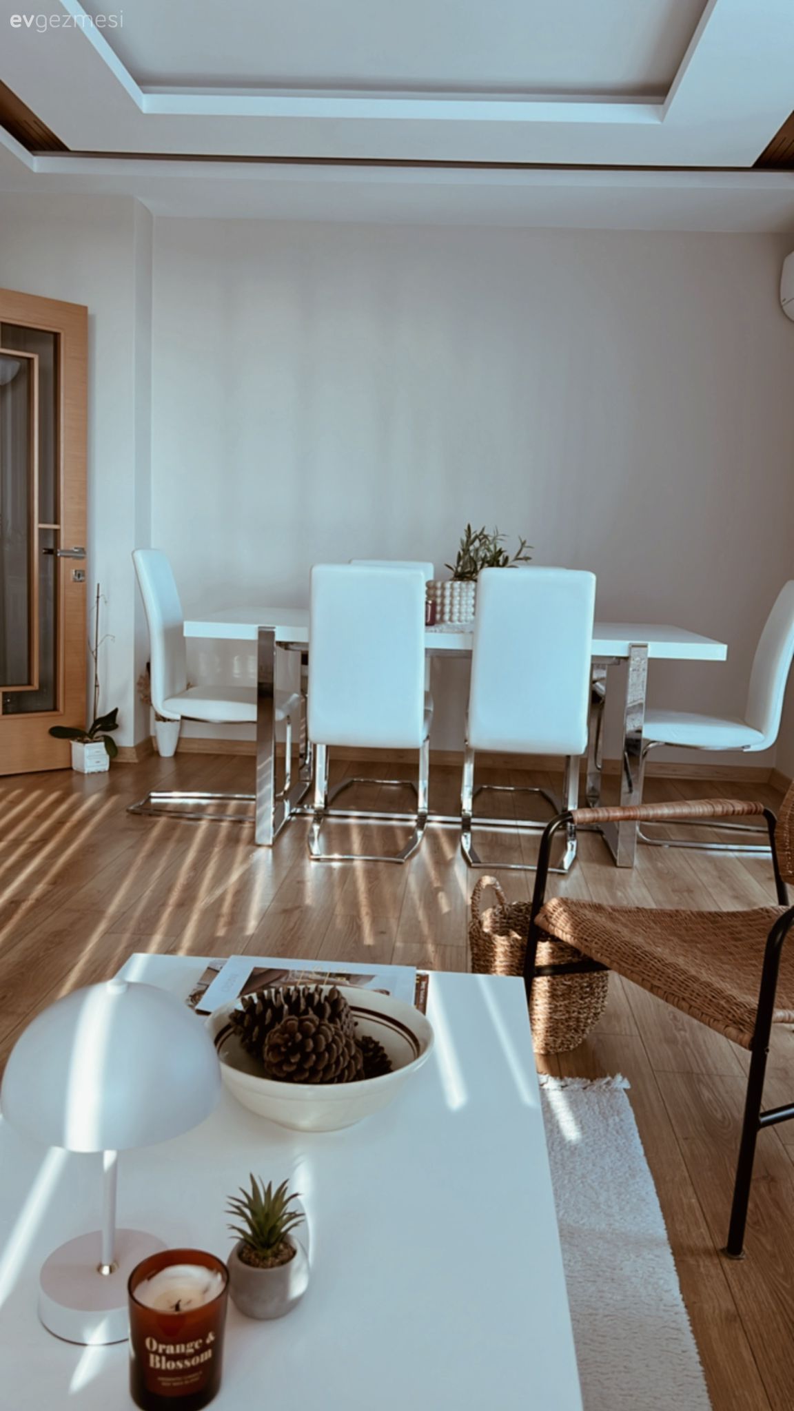 Beyaz, Tv ünitesi, Tv ünitesi aksesuarları, Ev Aksesuar, Sandalye, Beyaz halı, Orta sehpa, Sehpa, Hasır sandalye