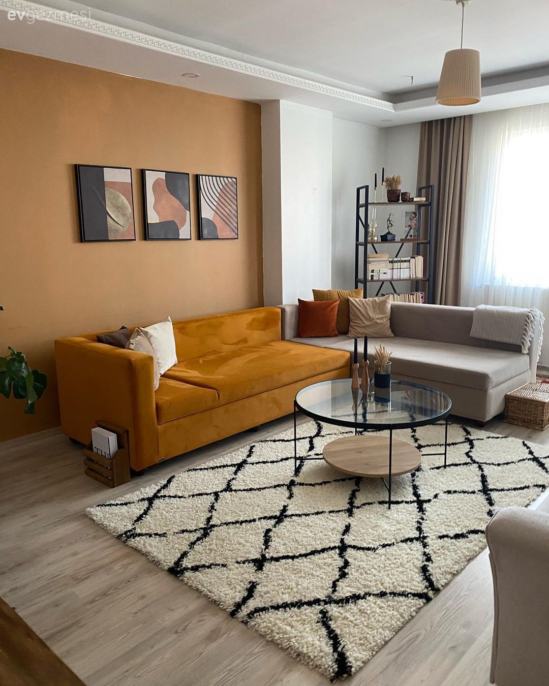 Turuncu Duvar Bu Muş Evine Nasıl Da Hareket Katmış!