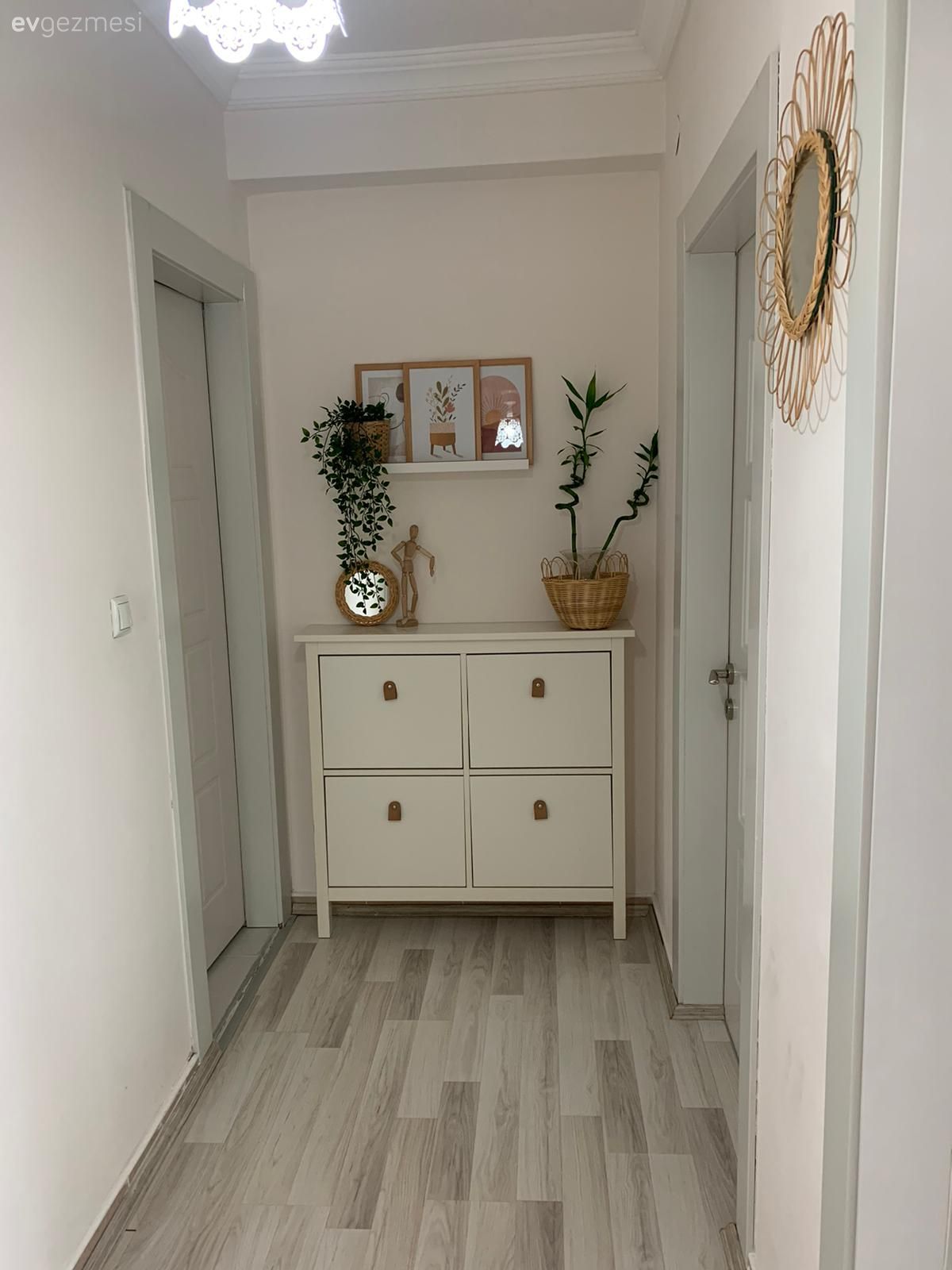 Hol, Saksı, Ev bitkisi, Parke, Çerçeve, Duvar rafı, Duvar dekorasyonu, Ayna, Dresuar