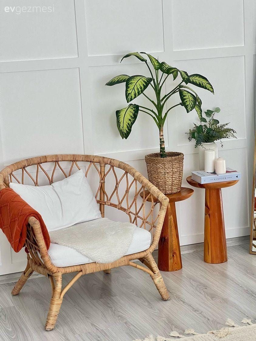 Hasır sandalye, Saksı, Ev bitkisi, Yan sehpa, Sehpa
