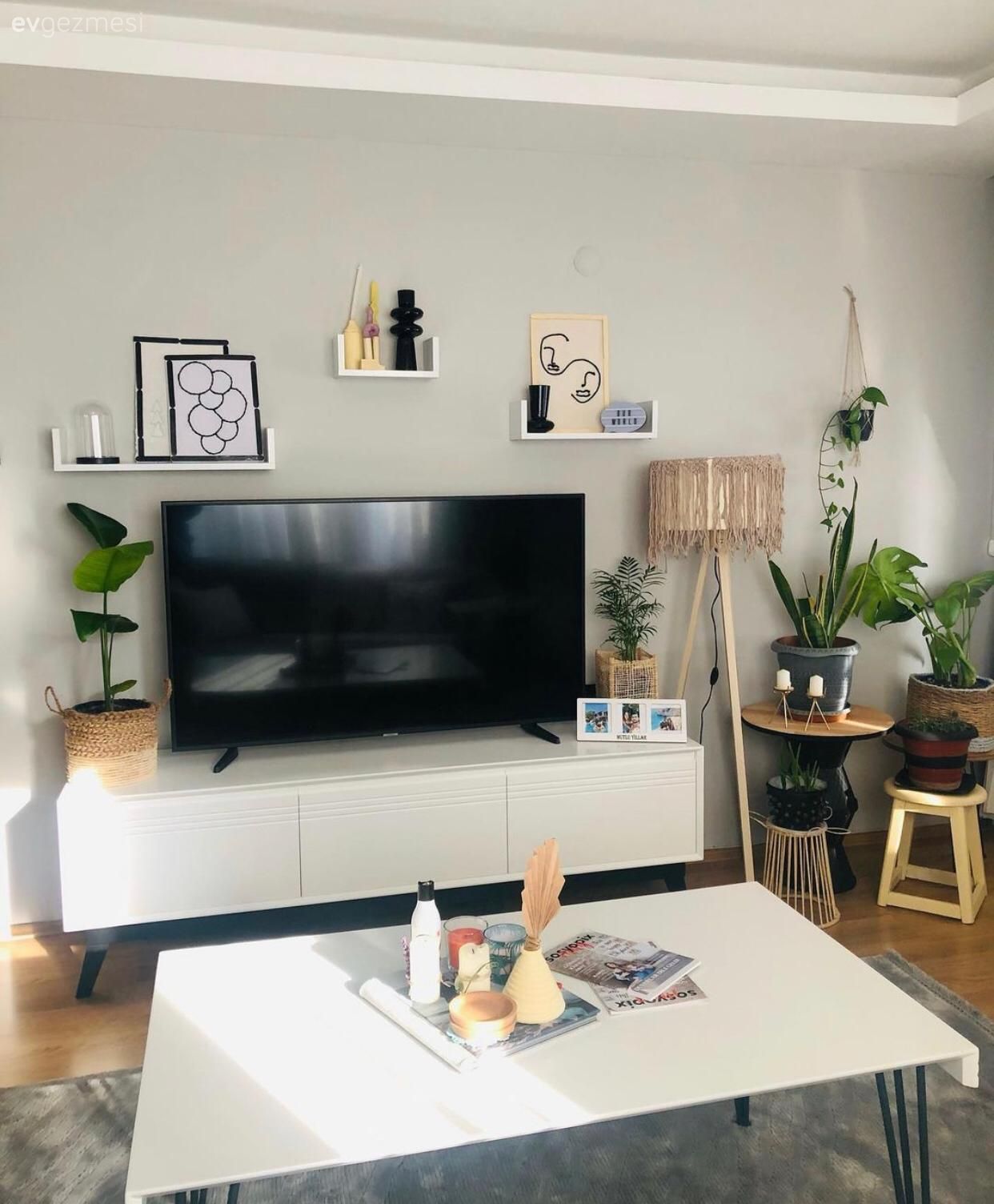 Halı, Orta sehpa, Sehpa, Çerçeve, Tv ünitesi, Tv ünitesi aksesuarları, Ev Aksesuar, Lambader, Aydınlatma, Ev bitkisi, Saksı