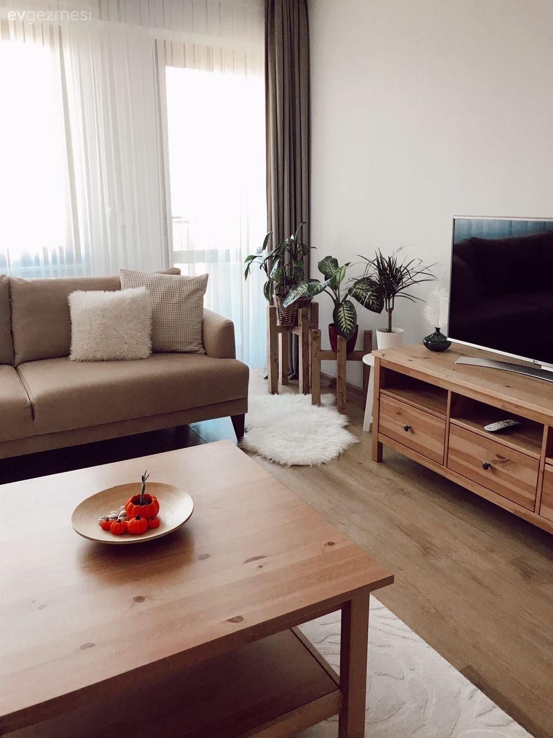 Salon, Koltuk takımı, Vizon, Beyaz, Ahşap Mobilya, Halı, Salon halısı, Orta sehpa, Sehpa, Fon perde, Perde, Tül perde, Ev bitkisi, Berjer, Parke