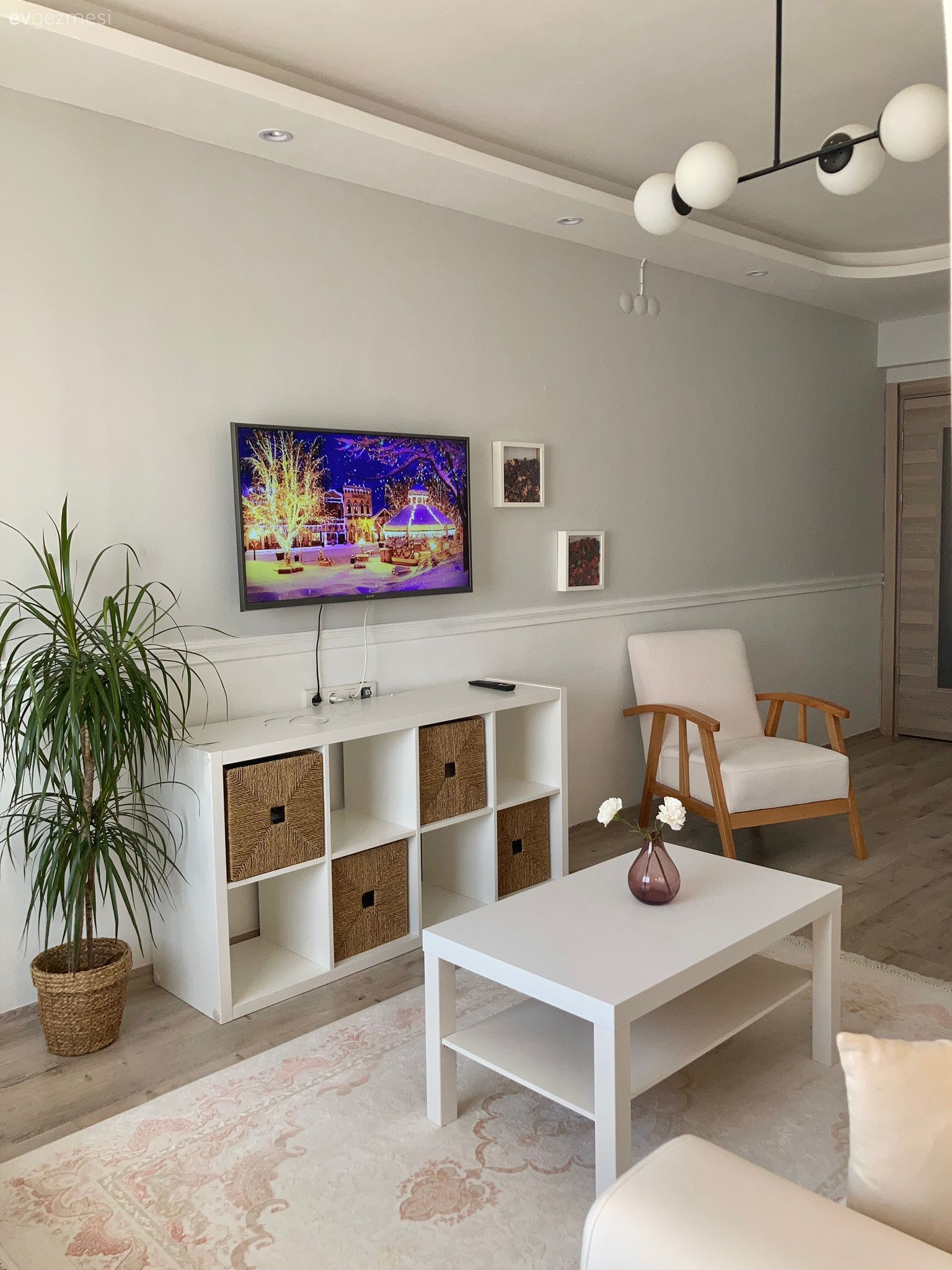 Tv ünitesi, Tv ünitesi aksesuarları, Ev Aksesuar, Ev bitkisi, Saksı, Orta sehpa, Sehpa, Halı, Salon halısı, Berjer, Duvar çıtalama