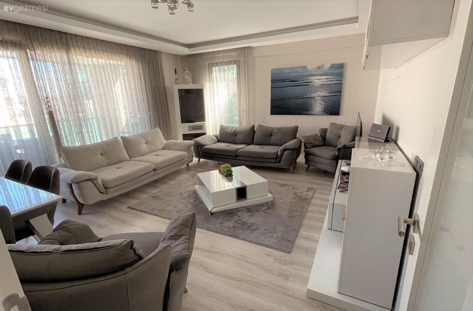 Salon, Modern, Gri, Bej, Beyaz, Koltuk takımı, Berjer, Orta sehpa, Sehpa, Halı, Salon halısı, Tül perde, Perde, Tablo, Duvar dekorasyonu, Parke, Tv ünitesi, Tv ünitesi aksesuarları, Ev Aksesuar, Avize, Aydınlatma