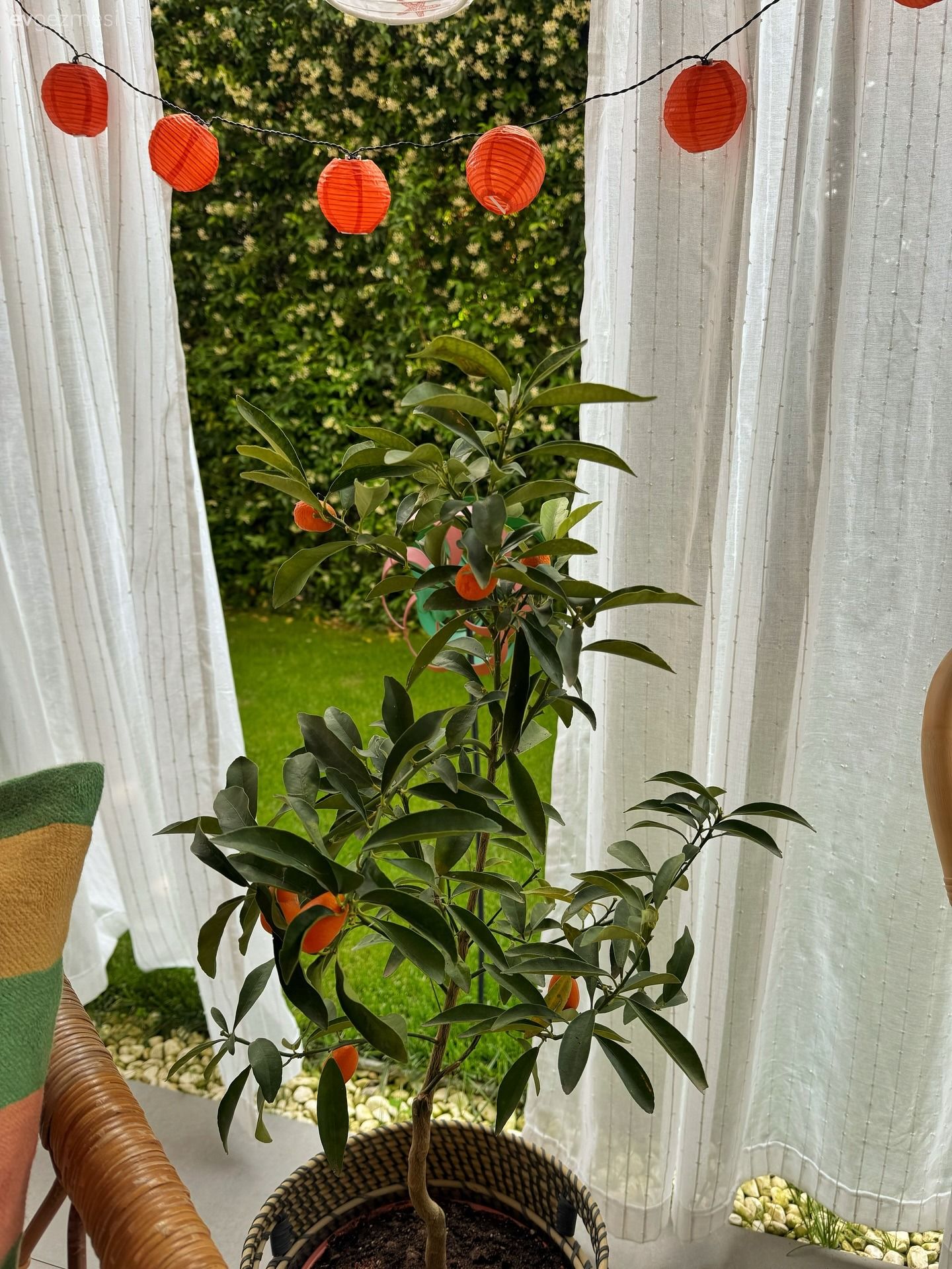 Bu Bahçenin Enerjisi İnsanı Festival Alanında Hissettiriyor