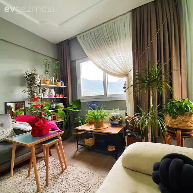 Salon, Bohem Dekorasyon, Gri, Bej, Vizon, Koltuk takımı, Halı, Salon halısı, Tablo, Duvar dekorasyonu, Avize, Aydınlatma, Berjer, Altın, Ev bitkisi, Yan sehpa, Sehpa, Duvar rafı, Saksı