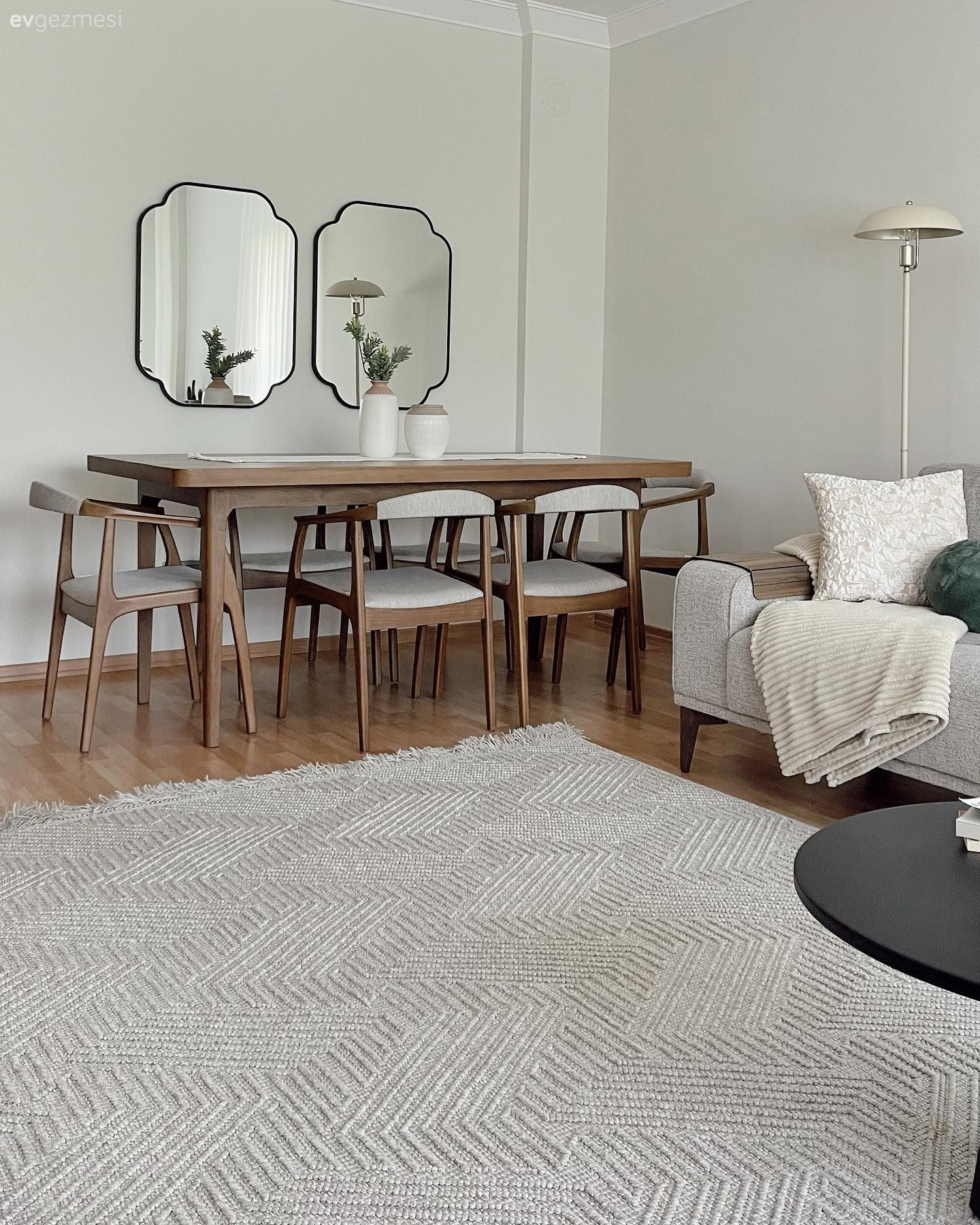 Salon, Modern, Beyaz, Bej, Gri, Ahşap Mobilya, Sandalye, Yemek masası, Ayna, Halı, Salon halısı, Koltuk takımı