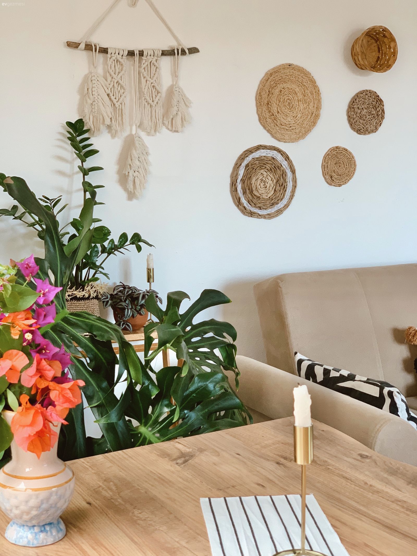 Bu Sıcak Dekorda Mekanın Sahibi Yemyeşil Bitkiler!