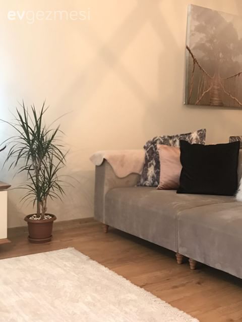 Ev Gezmesi: Sakin Renkleriyle Keyifli Bir Dekor