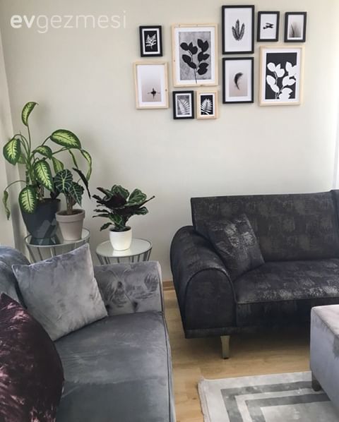 Ev Gezmesi: Uyumlu Renk Geçişleriyle  Keyifli Bir Dekor