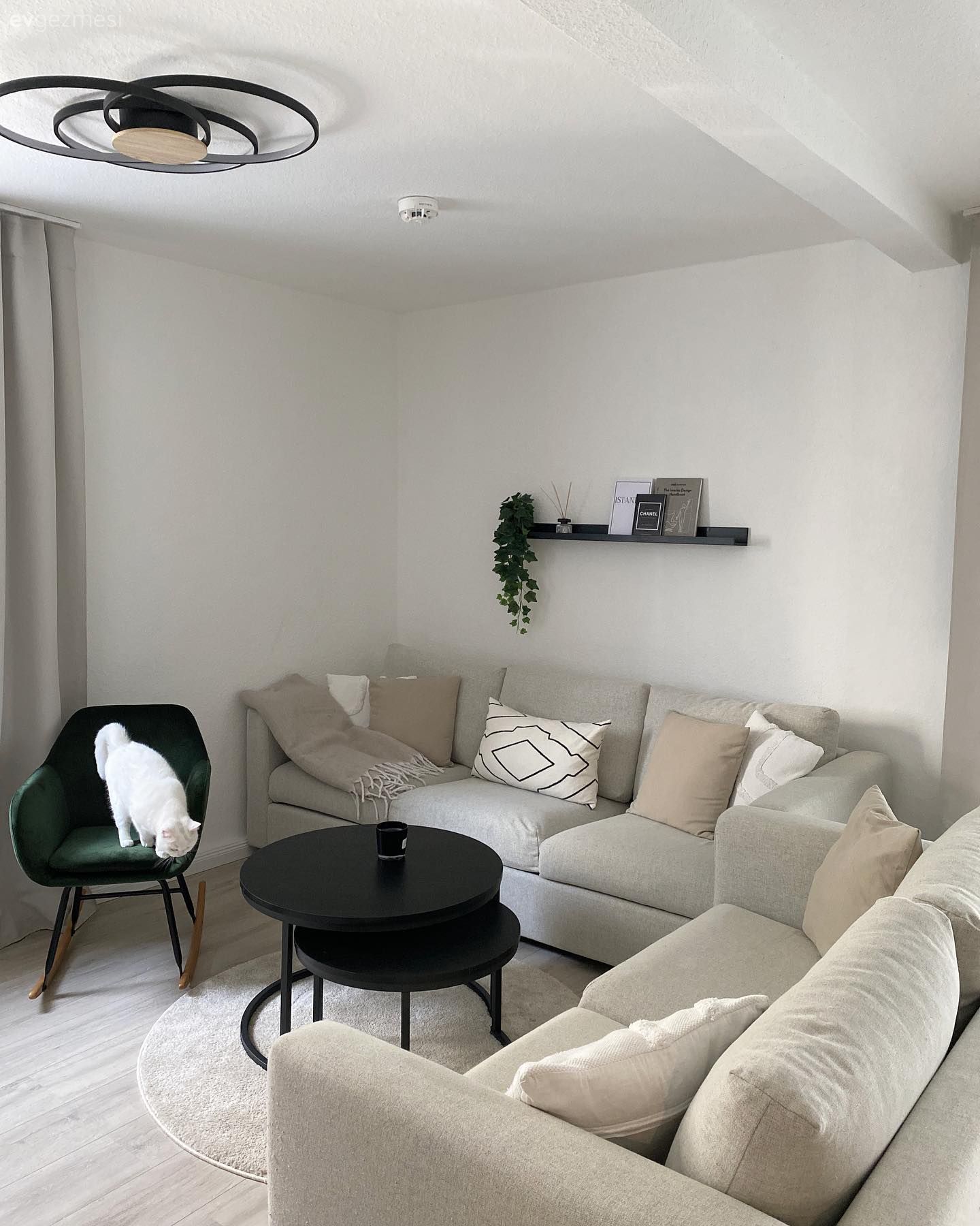 Salon, Modern, Beyaz, Krem, Siyah, Koltuk takımı, Kırlent, Ev tekstili, Duvar rafı, Duvar dekorasyonu, Orta sehpa, Sehpa, Berjer, Halı, Salon halısı