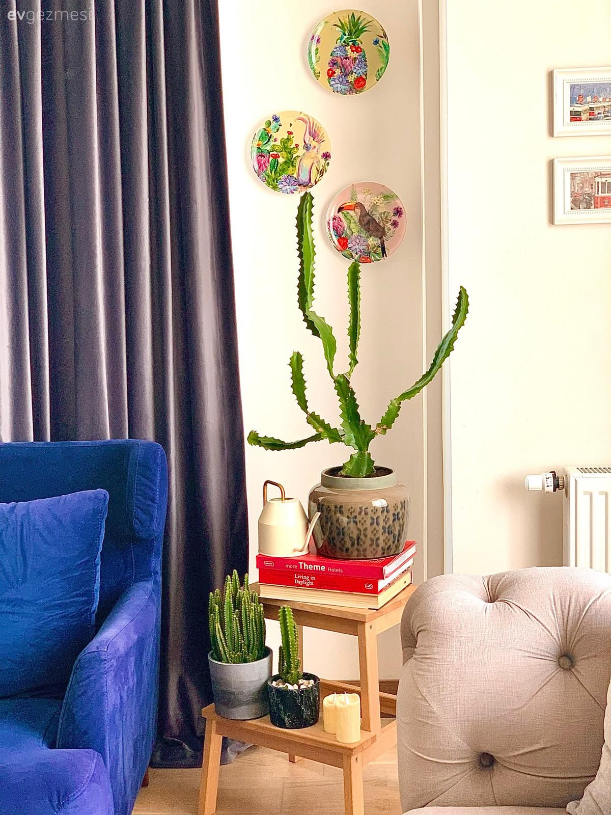 Bu Mimar Evi Minimalizmi ve Renkleri Ortak Paydada Buluşturmuş