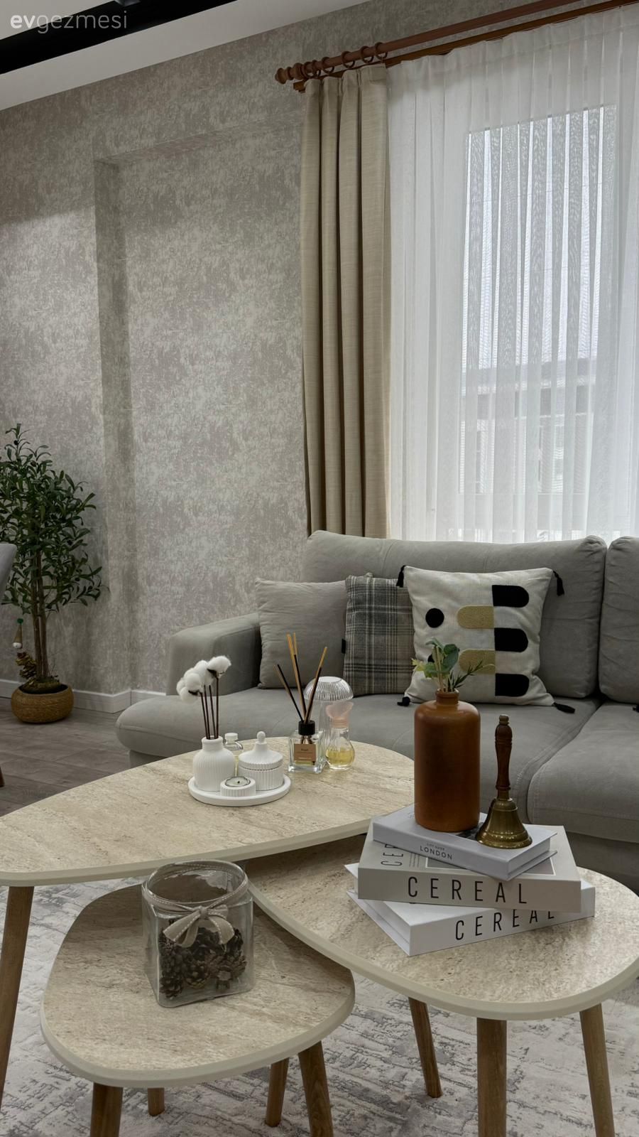 Krem, Gri, Beyaz, Bej, Koltuk takımı, Orta sehpa, Sehpa, Kırlent, Halı, Salon halısı, Ev bitkisi