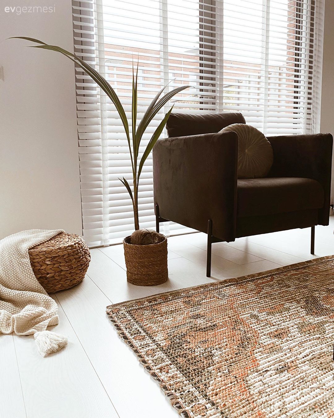 Berjer, Gri, Beyaz, Jaluzi, Ev bitkisi, Hasır, Hasır puf, Halı, Salon halısı, Kırlent, Ev tekstili