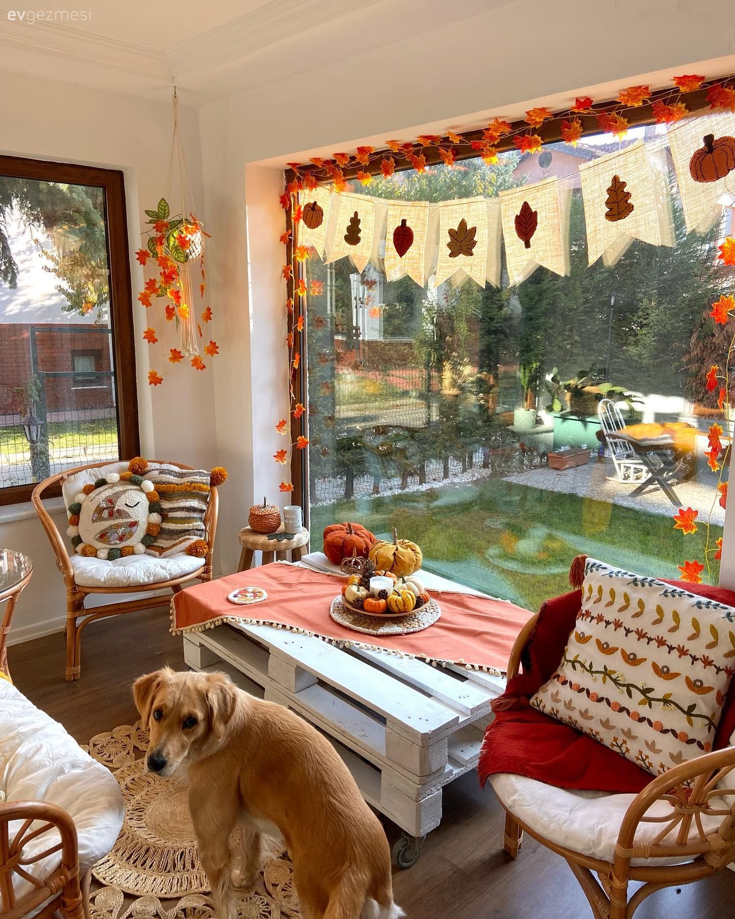 Mevsimlere Göre Kabuk Değiştiren Bu Kış Bahçesinde Her Şey El Emeği!