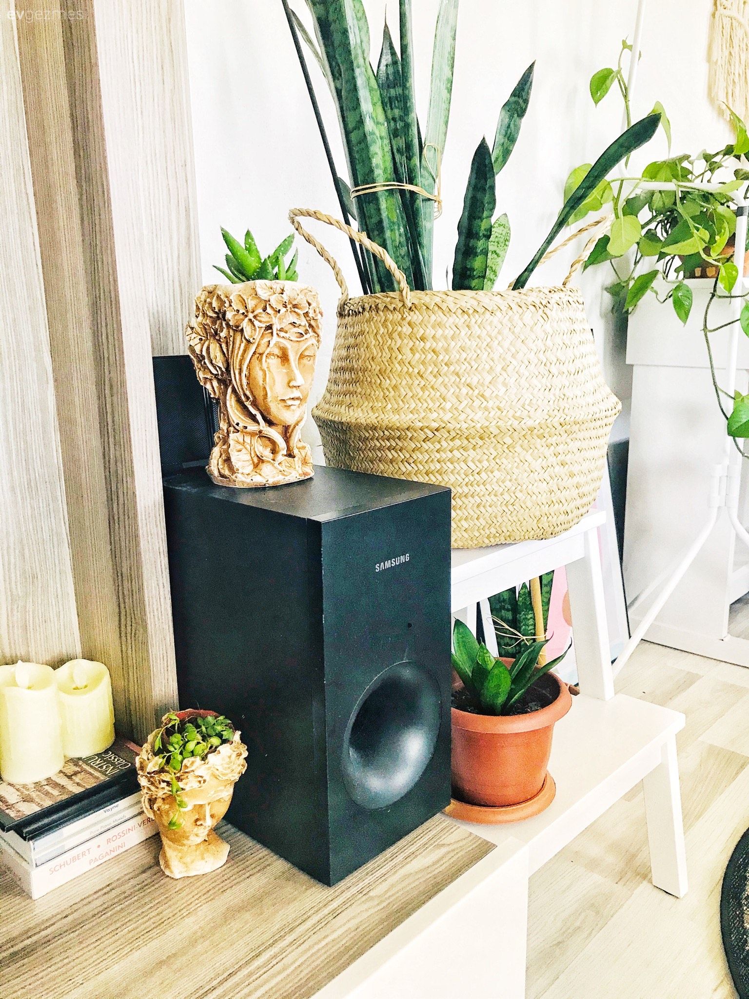 Hasır, Saksı, Ev bitkisi, Ahşap Mobilya, Vazo, Ev Aksesuar