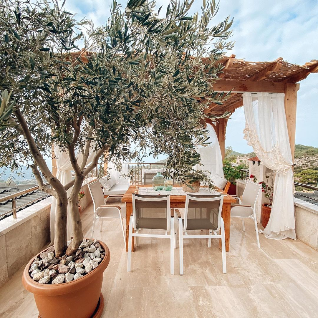 Veranda, Bahçe, Bahçe masası, Kamelya