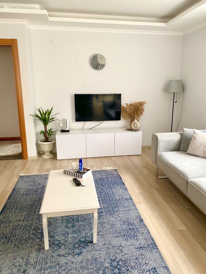 Salon, Modern, Beyaz, Gri, Tv ünitesi, Tv ünitesi aksesuarları, Ev Aksesuar, Ev bitkisi, Koltuk takımı, Bej, Halı, Salon halısı, Orta sehpa, Sehpa, Lambader, Aydınlatma