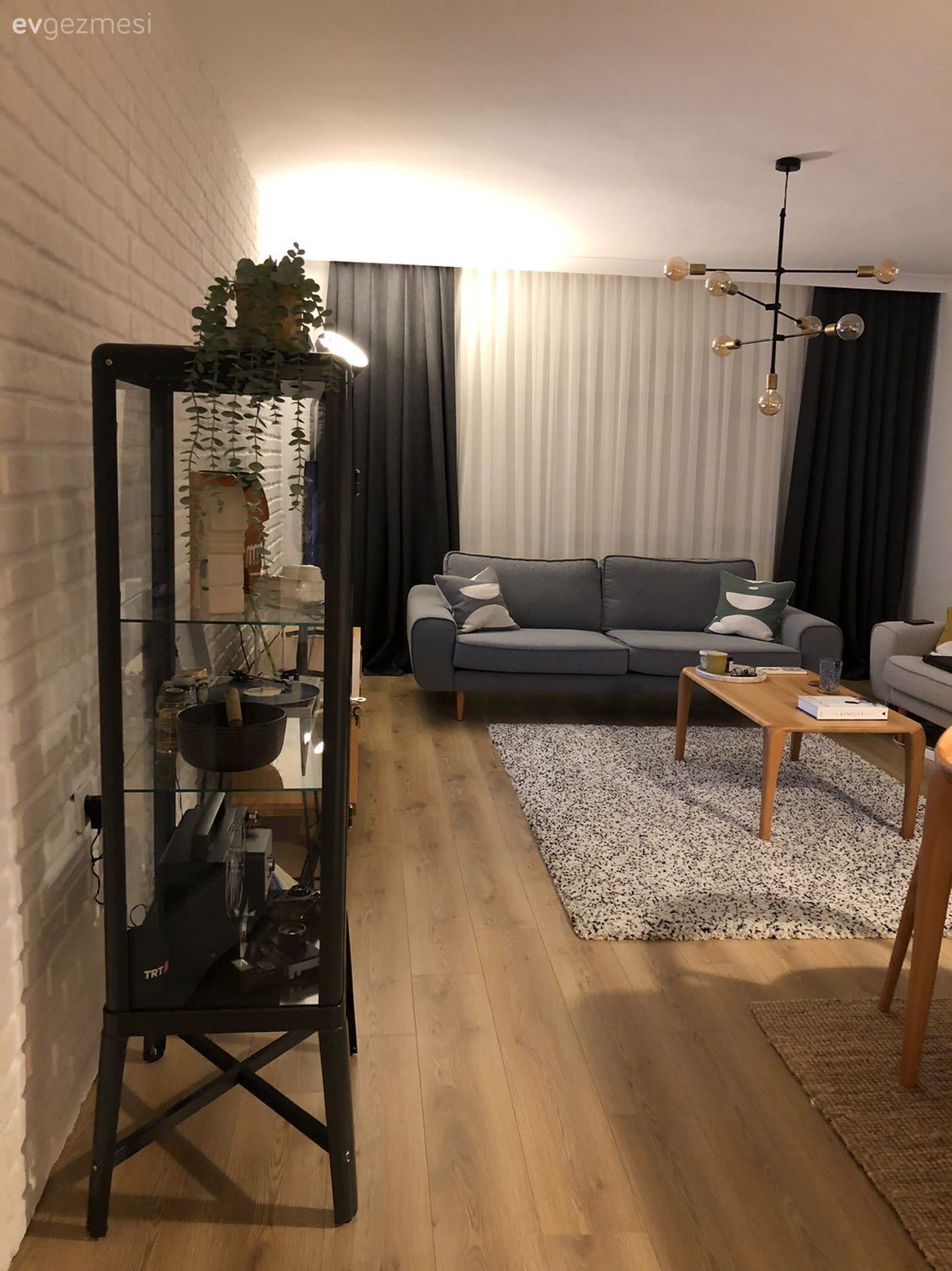 Salon, Fon perde, Perde, Beyaz, Siyah, Avize, Aydınlatma, Orta sehpa, Sehpa, Halı, Salon halısı, Duvar dekorasyonu, Dolap, Parke, Dekoratif Objeler