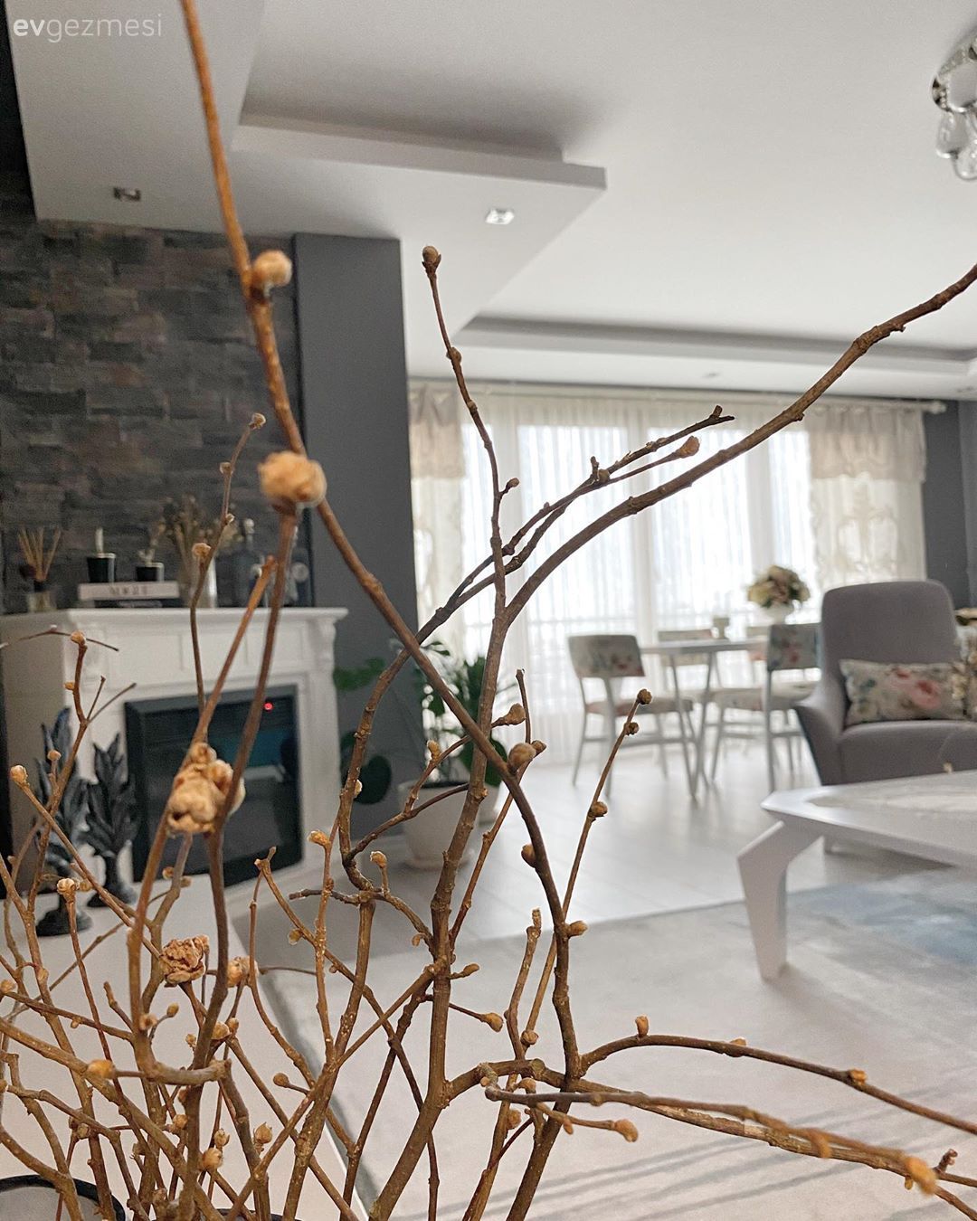 Salon, Beyaz, Gri, Siyah, Şömine, Taş duvar, Duvar dekorasyonu, Sandalye, Yemek masası, Tül perde, Perde, Berjer