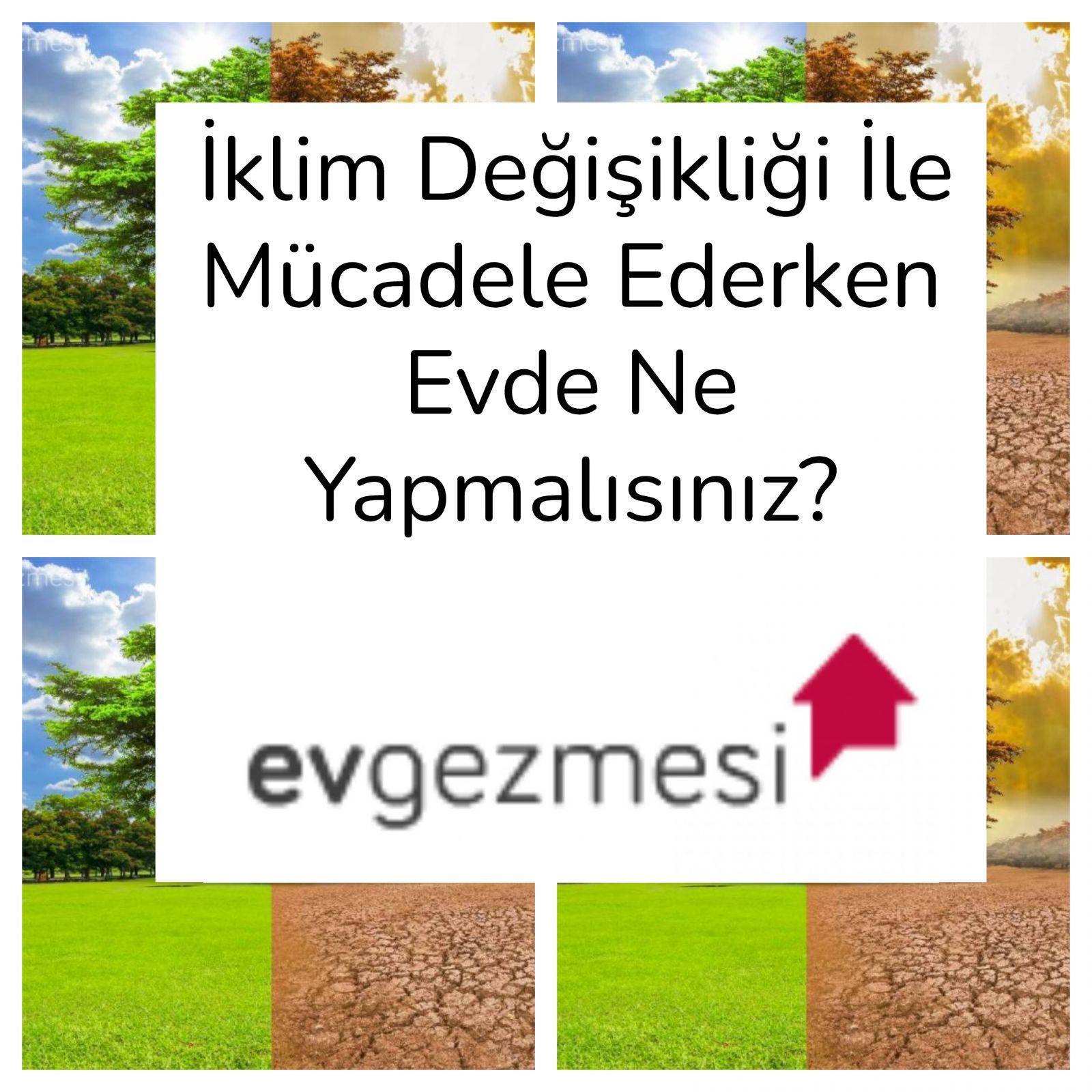 İklim Değişikliği İle Mücadele Ederken Evde Ne Yapmalısınız?