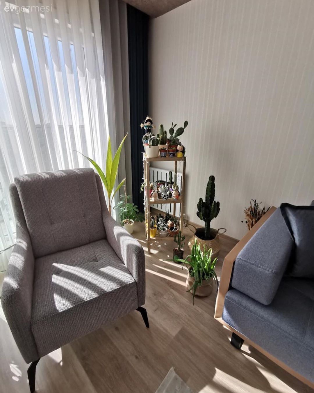 Bu Natürel Dekorda Bitkiler Mekanın Asıl Sahibi!