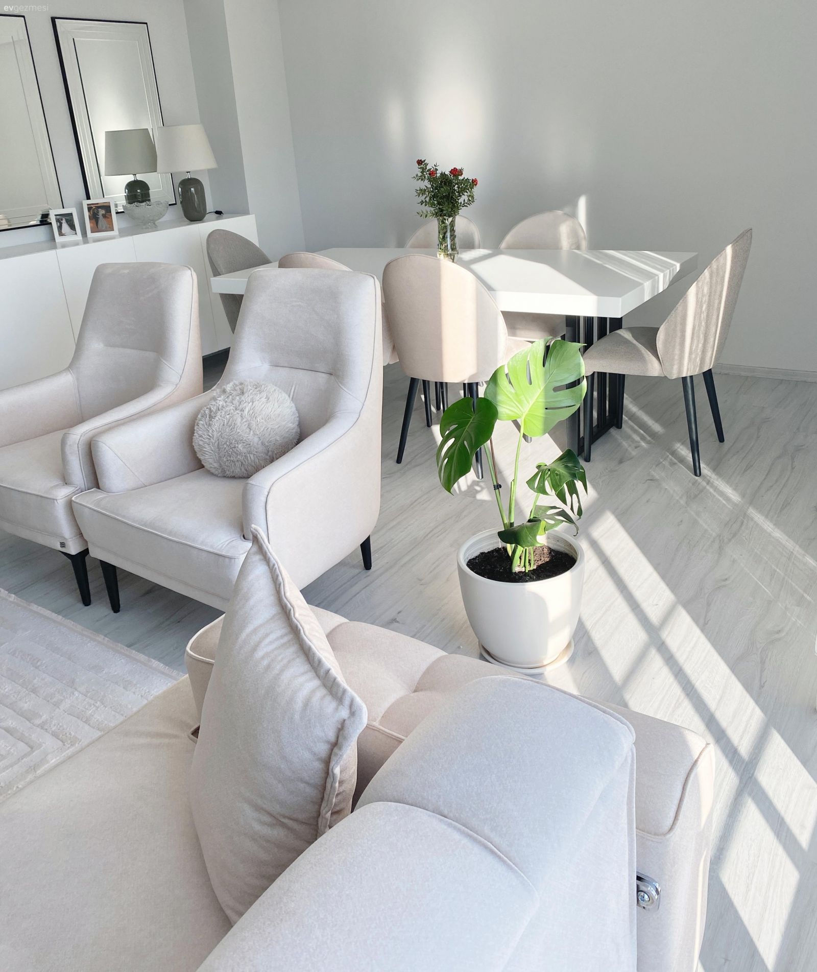 Salon, Modern, Beyaz, Bej, Siyah, Berjer, Sandalye, Yemek masası, Saksı, Ev bitkisi, Kırlent, Ev tekstili, Koltuk takımı, Halı, Salon halısı