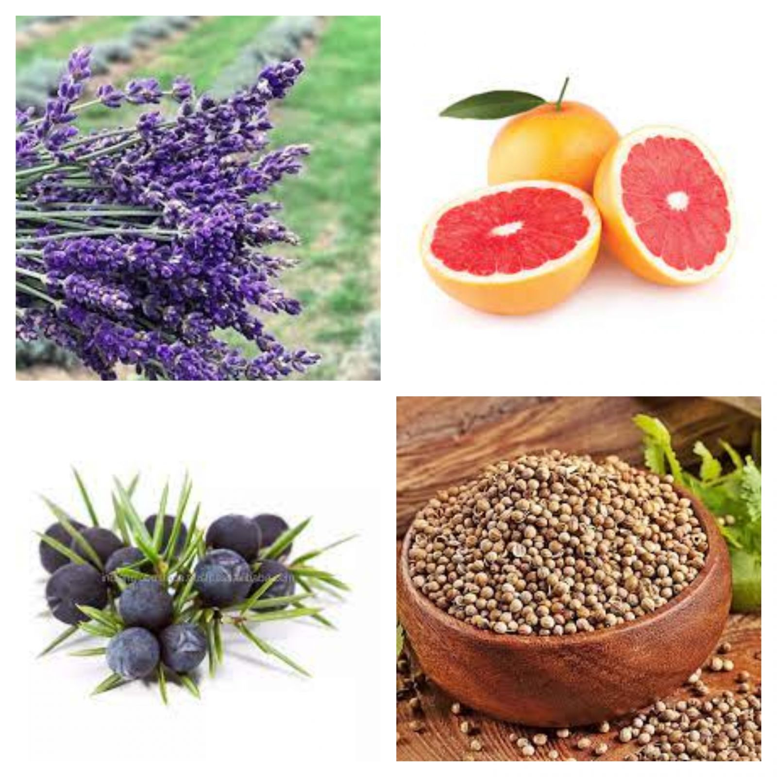 Evdeki Kötü Kokulara En İyi Çözüm: Ev Yapımı Oda Kokuları