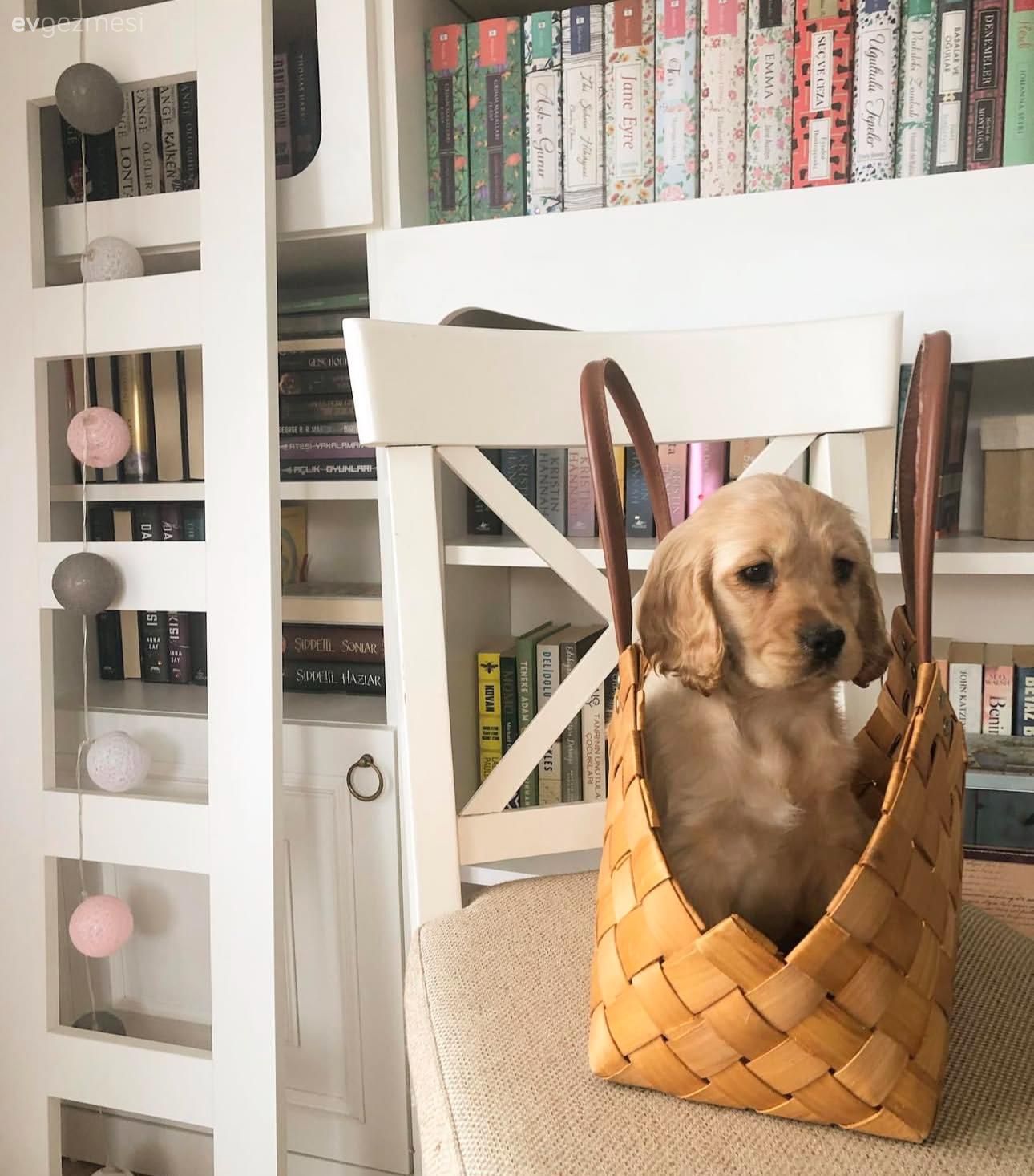 İki Katlı Bu Evin Her Köşesi Pozitif Enerji Saçıyor