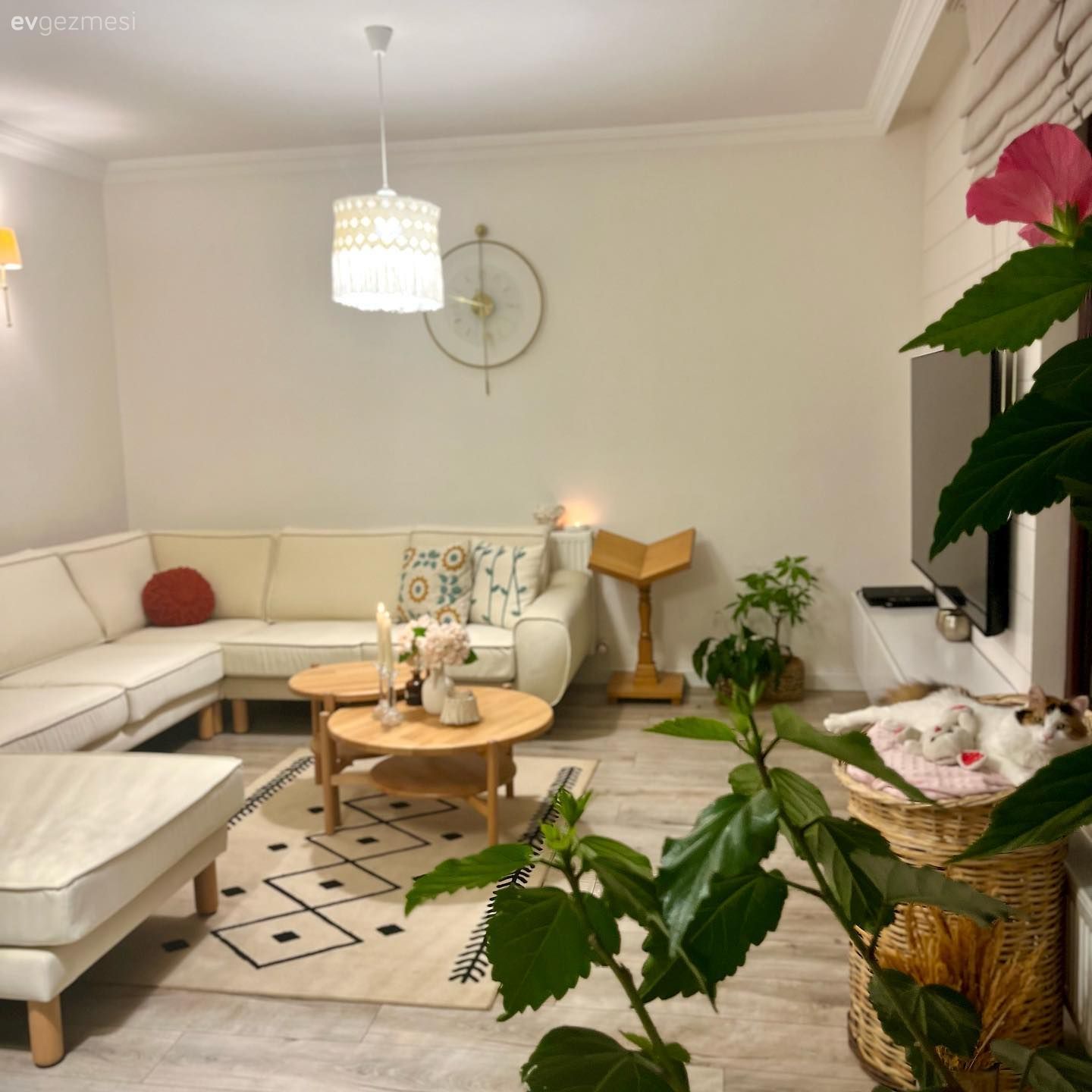 Salon, Bohem Dekorasyon, Beyaz, Bej, Krem, Köşe koltuk, Koltuk takımı, Orta sehpa, Sehpa, Kırlent, Ev tekstili, Aplik, Aydınlatma, Parke, Metal duvar aksesuarı, Ev Aksesuar, Halı, Ev bitkisi