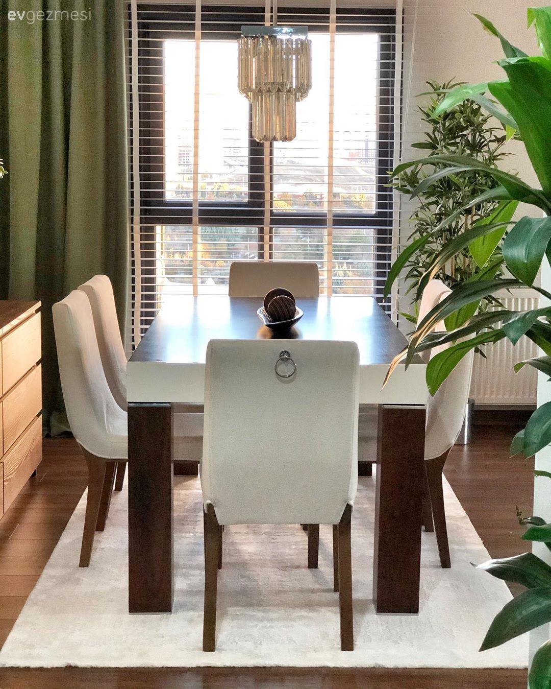 Yemek masası, Yeşil, Kahverengi, Beyaz, Jaluzi, Fon perde, Perde, Konsol, Ahşap Mobilya, Halı, Ev bitkisi, Yemek odası avizesi