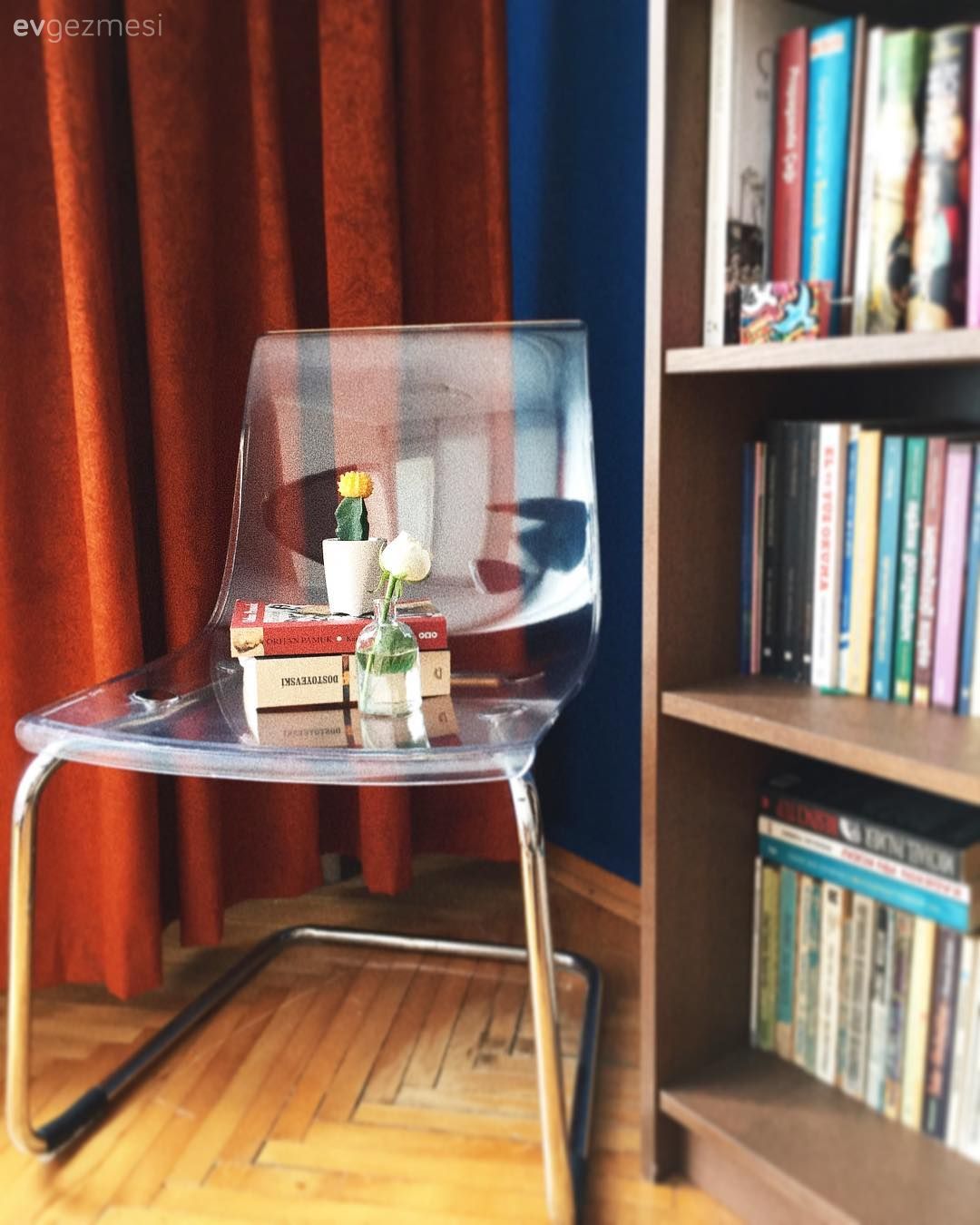 Mavi duvar, Turuncu, Fon perde, Perde, Kitaplık, Sandalye, Parke