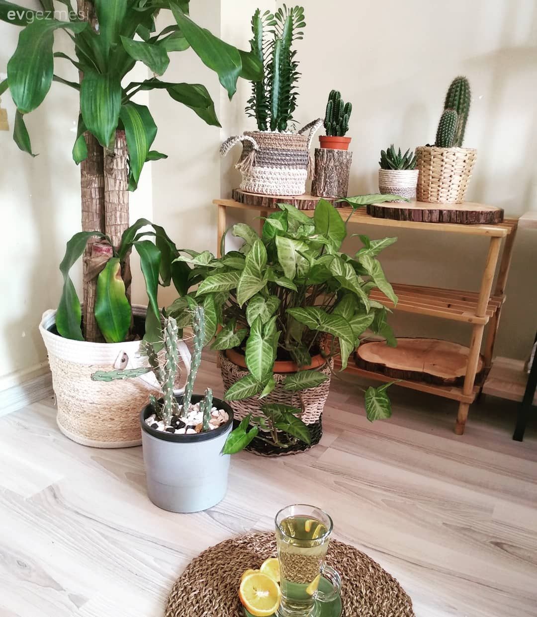 Ev Gezmesi: Modern ve Rustik Detayların Sıcacık Buluşması