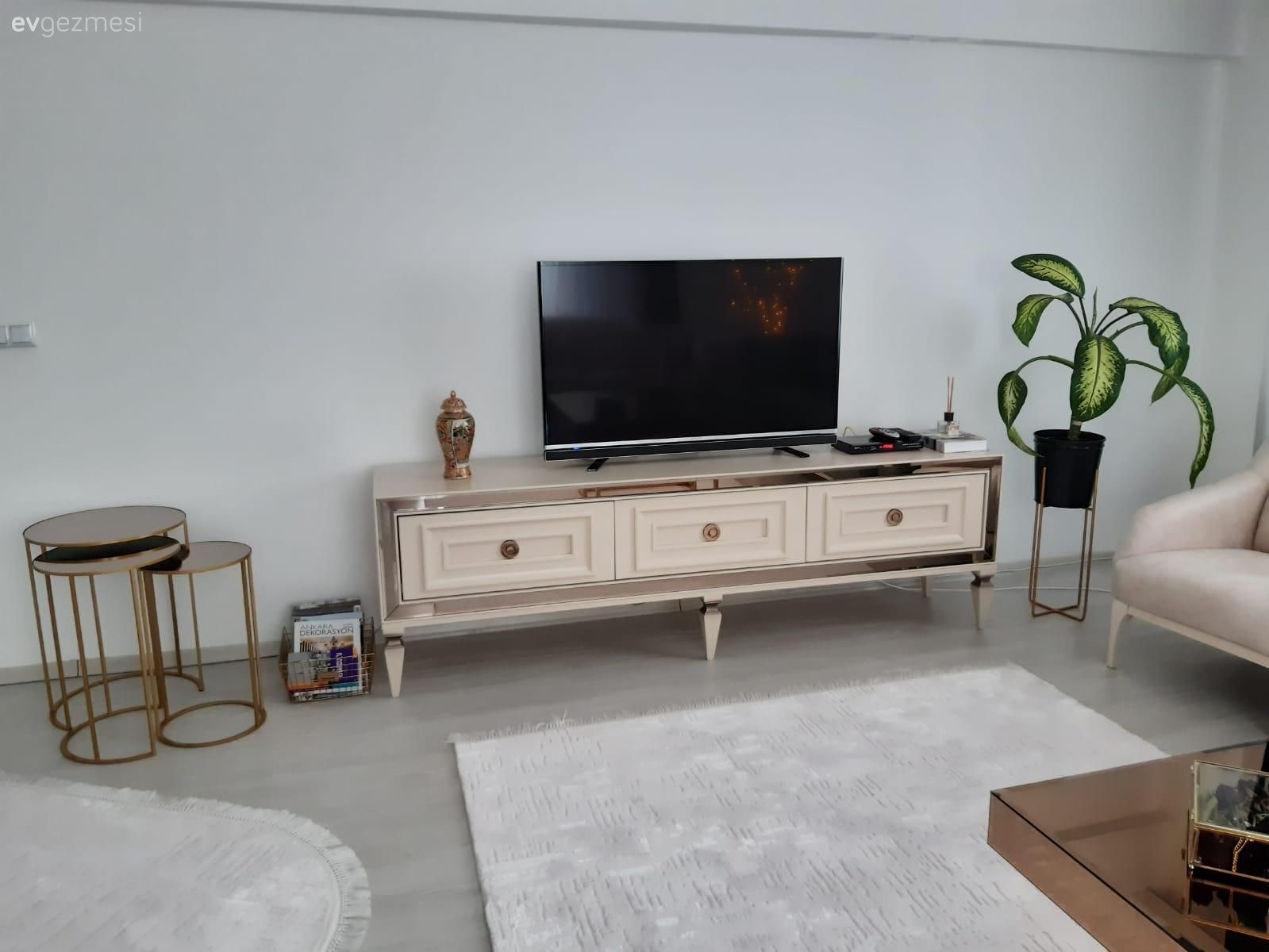 Tv ünitesi, Tv ünitesi aksesuarları, Ev Aksesuar, Çiçeklik, Ev bitkisi, Saksı, Zigon sehpa, Sehpa, Halı, Salon halısı