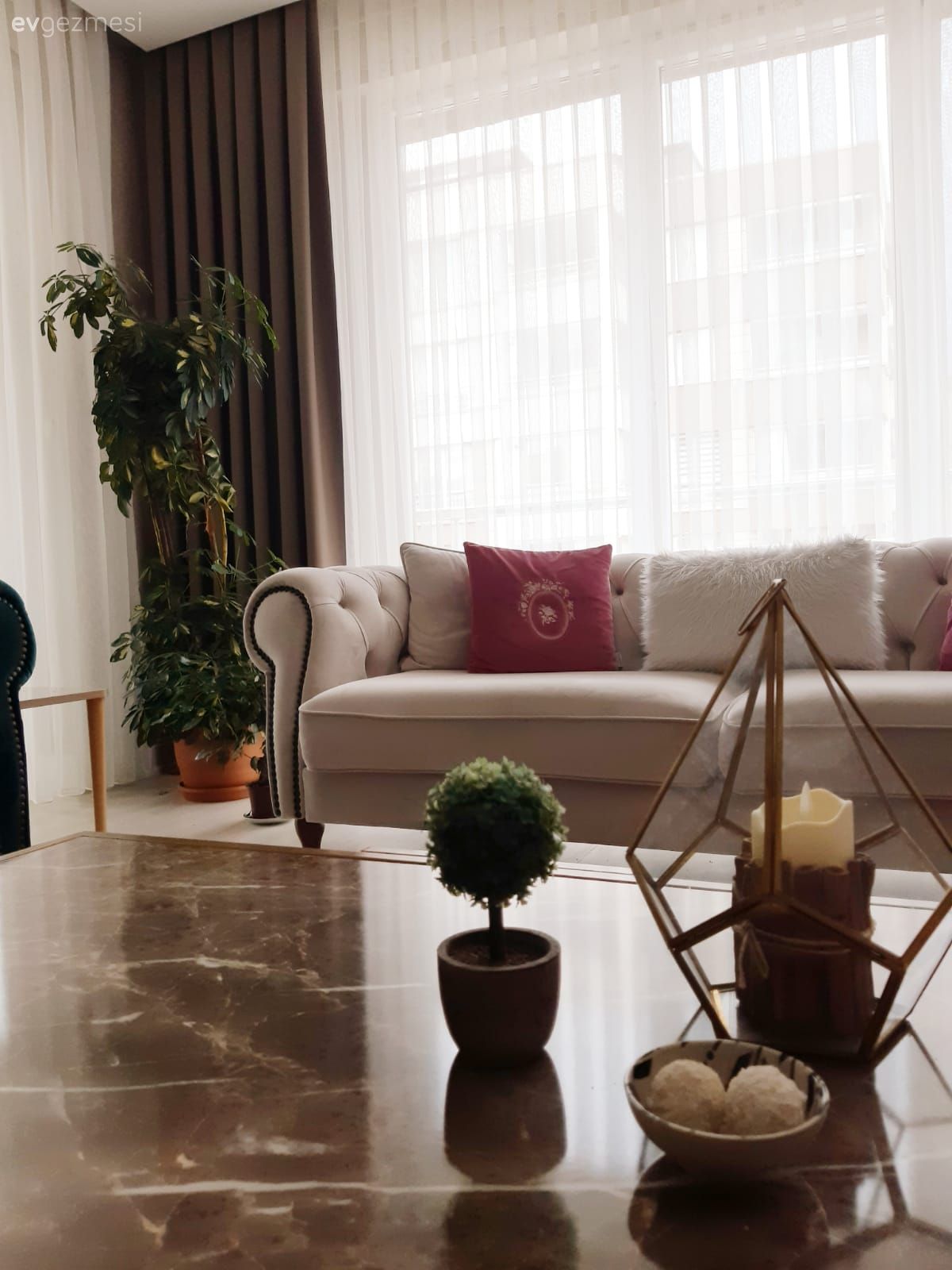 Orta sehpa, Sehpa, Sehpa üstü aksesuarı, Ev Aksesuar, Kırlent, Ev tekstili, Fon perde, Perde, Tül perde, Ev bitkisi, Saksı, Beyaz, Kahverengi