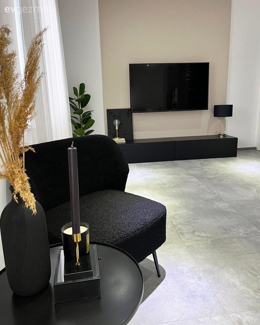 Tv ünitesi, Tv ünitesi aksesuarları, Ev Aksesuar, Siyah, Berjer, Ev bitkisi, Orta sehpa, Sehpa