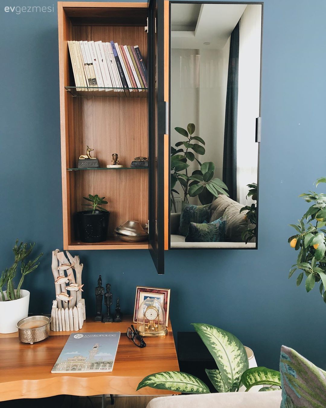 Salon, Ahşap masa, Ayna kapaklı dolap, Ayna, Ev bitkisi, Kitaplık, Dekoratif Objeler, Mavi duvar