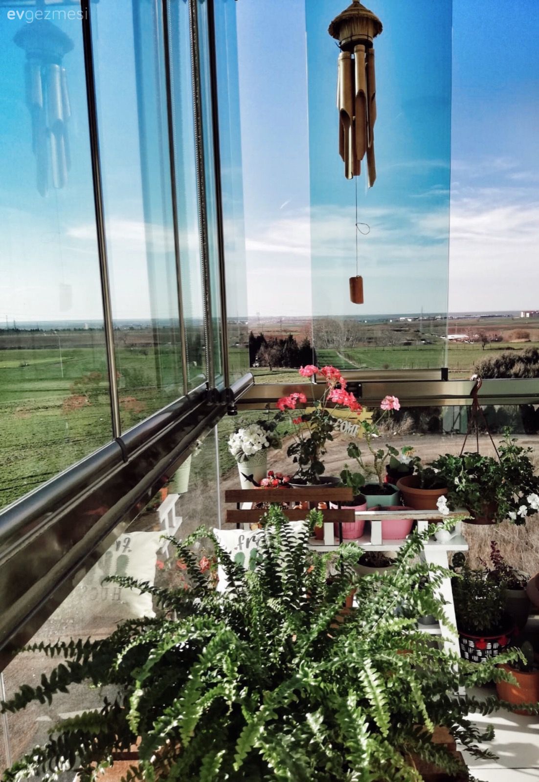 Bu Apartman Dairesi Adeta Bir Botanik Bahçesi!