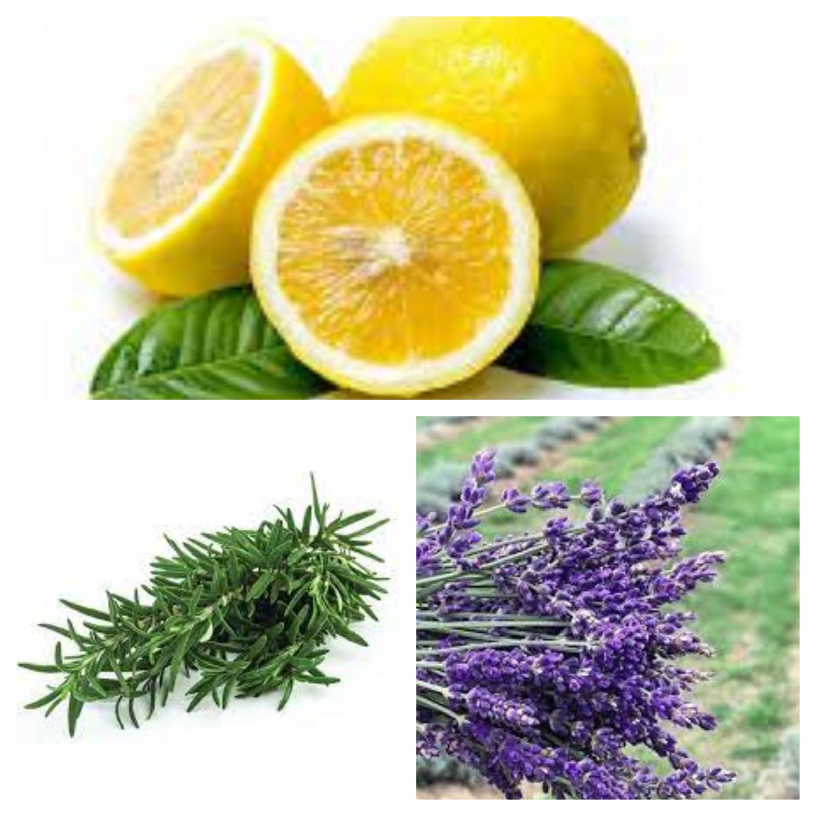 Evdeki Kötü Kokulara En İyi Çözüm: Ev Yapımı Oda Kokuları