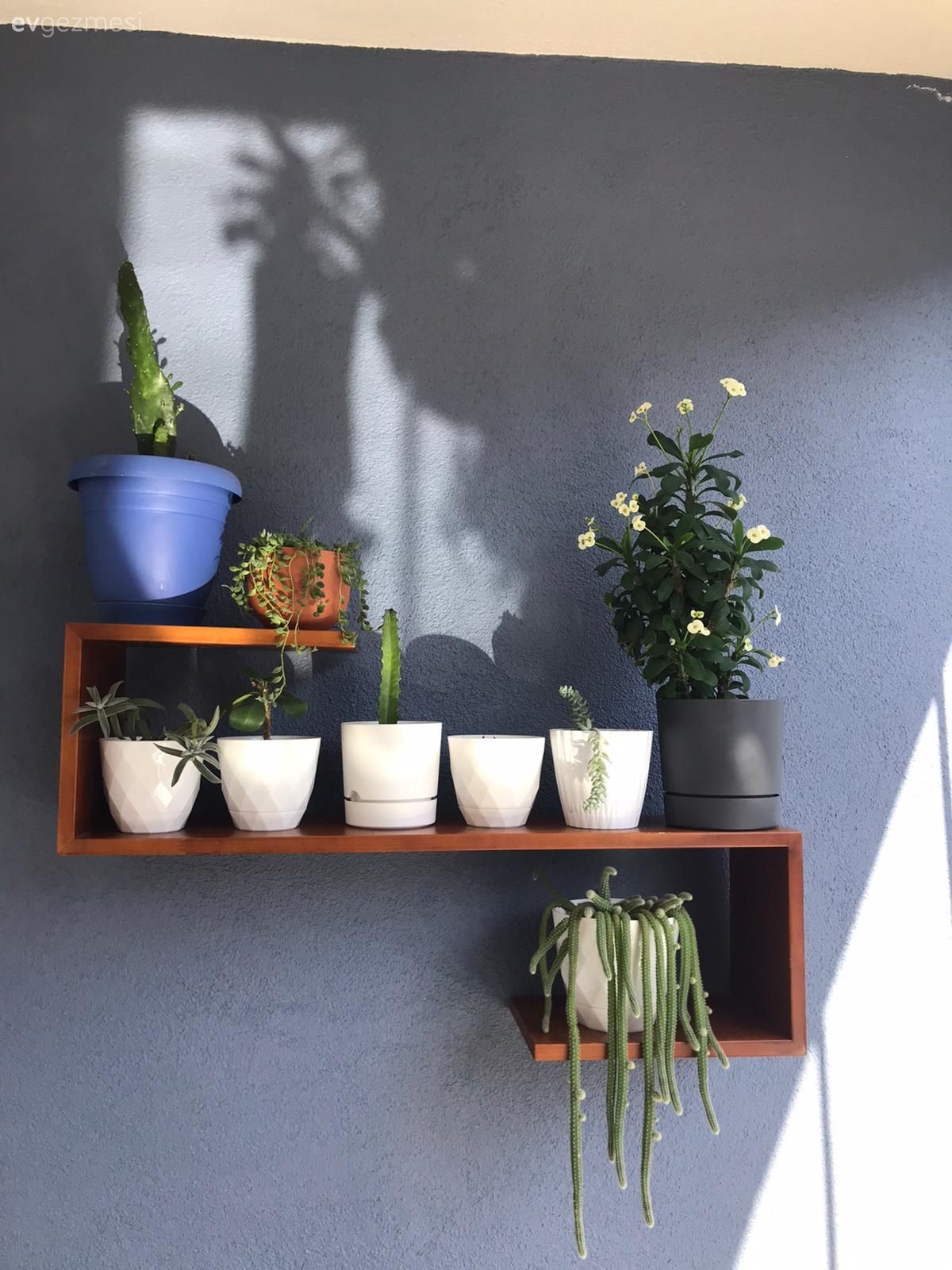 Balkon, Mavi duvar, Balkon duvar dekorasyonu