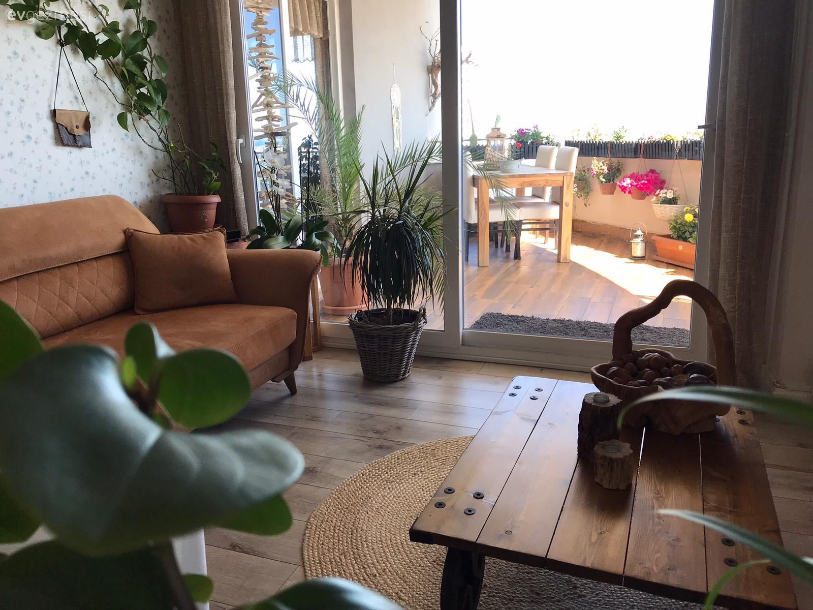 Salon, Rustik, Kahverengi, Beyaz, Yeşil, Koltuk takımı, Saksı, Ev bitkisi, Tablo, Duvar dekorasyonu, Orta sehpa, Sehpa