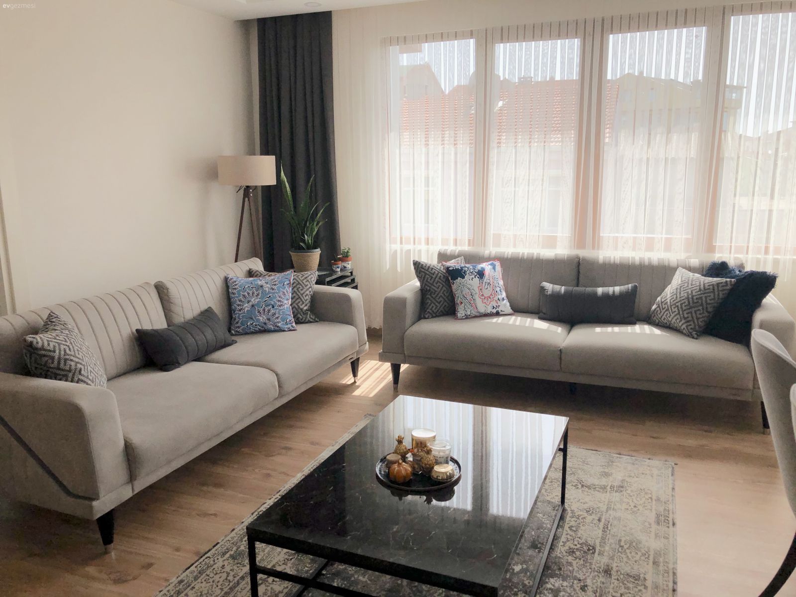 Salon, Modern, Gri, Mavi, Abajur, Aydınlatma, Saksı, Ev bitkisi, Halı, Salon halısı, Orta sehpa, Sehpa, Koltuk takımı, Kırlent, Ev tekstili