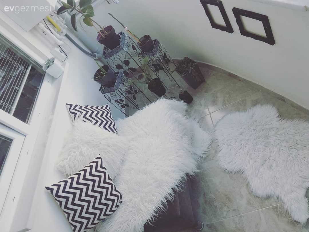 Balkon, Post halı, Halı, Peluş, Beyaz, Saksı, Çiçekler, Kırlent, Ev tekstili, Zigzak desen
